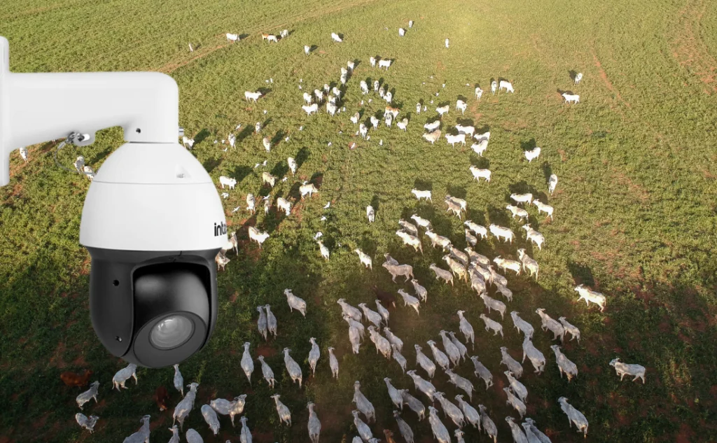 Infraestrutura Seca para Telecomunicações Empresariais